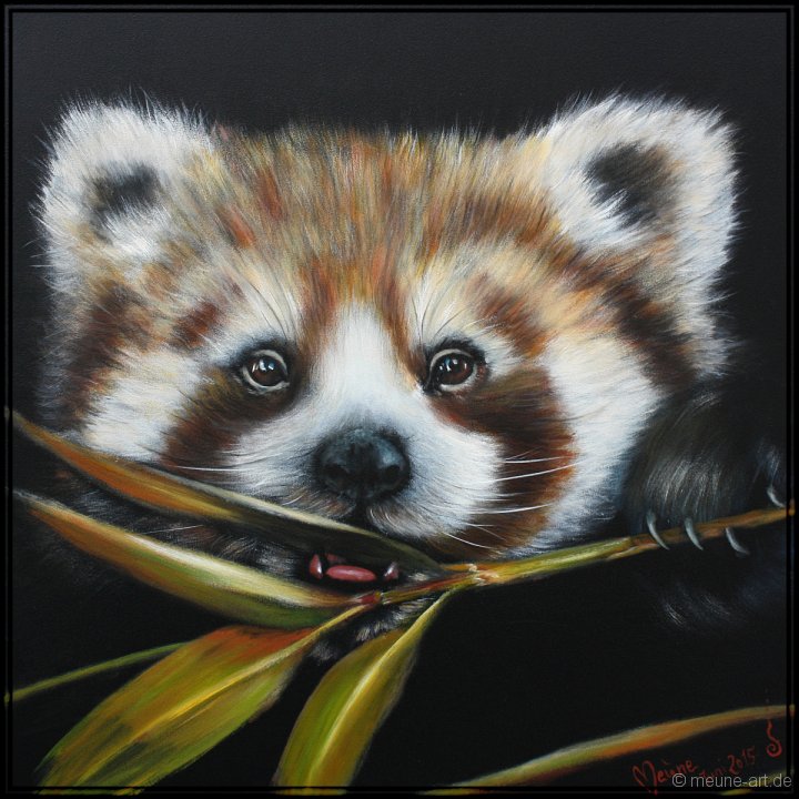 Roter Panda 2 Acryl auf Leinwand;
80 x 80 cm